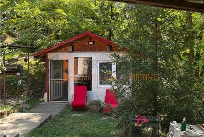 Ansamblu cabanute zona Cozieni - 18