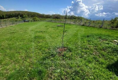 Teren extravilan 2000 mp, împrejmuit, panoramă superbă – Sălicea (Cluj) - 5