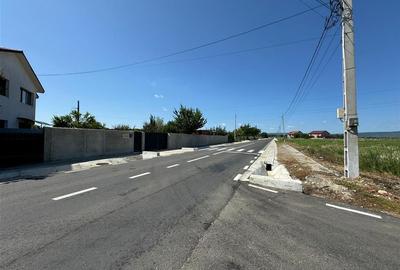 Teren in Golesti 9.848mp intravilan + extravilan  pret 6 euro / mp - 7