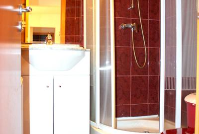 Vanzare apartament 4 camere zona Lipovei - Arcasilor - 9