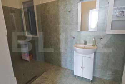 Doua partamente cu potențial de unificare, curte interioară si garaj, str Horea - 11