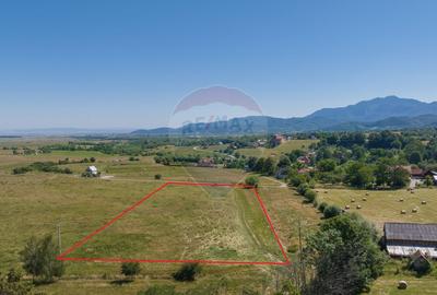 Teren Bran -Sohodol, Strada La mesteceni, 6900mp - 4
