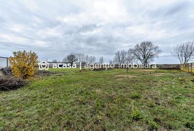 Hale depozitare/producție 2.000 mp si 10.000 mp teren în Pecica - 14