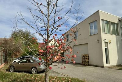 Clădire SAD de închiriat, situată la intrarea în Dumbrăvița - 24