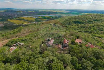 De vânzare casă și teren 1.425 mp - Podgoria - 12
