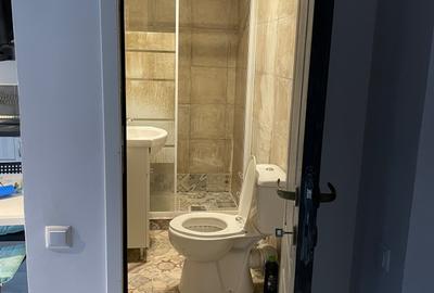 Charming Attic Apartment in Villa | Mătăsari Area | Fully Furnished & Cozy - 12
