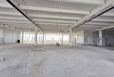 De Inchiriat Spatiu Comercial  6 euro mp Stefanesti de Jos Ilfov - 10
