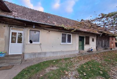 Casă individuală de vânzare cu livadă și teren generos în Luna de Sus - 4