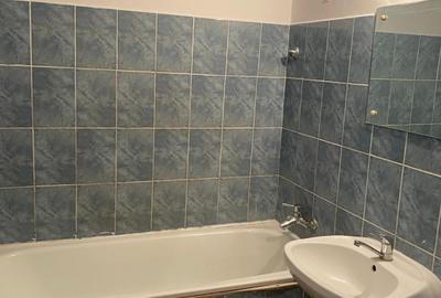 Teiul Doamnei vanzare apartament de 3 camere Cristea Mateescu - 4