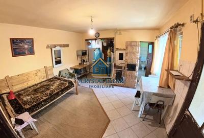Casă 2 camere + teren 1700 mp - zona Platoul Cornești, str. Trebely - 7