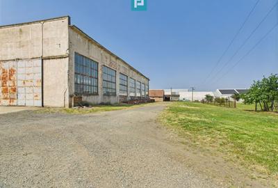 Complex industrial cu hale și teren  în Orțișoara - 22
