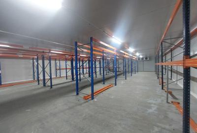 Zona Industriala , hala frigorifica 527 mp. - 3