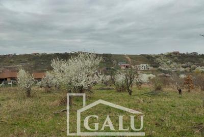 Teren intravilan 3245mp Livezilor, Dealuri Oradea - 1