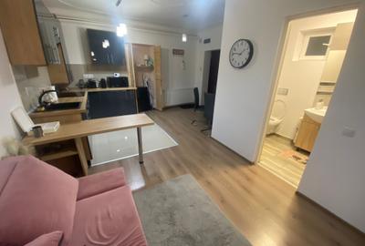 Apartament Ultracentral, Piata Mare- Renovat complet- Pretabil investitie - 3