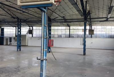 Hale + platforma betonata mp Giurgiului ( Zetari ) - 2