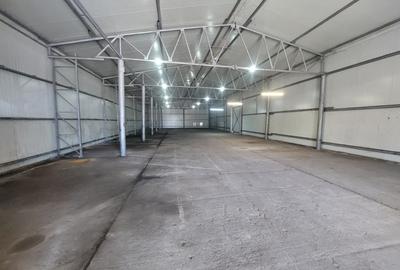 Zona Industrială / Interioare - eurohala, 500 mp., putere instalata - 6