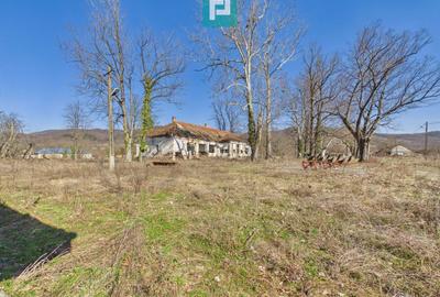 Conac nobiliar de secol XIX cu 8 camere în Maciova - 31
