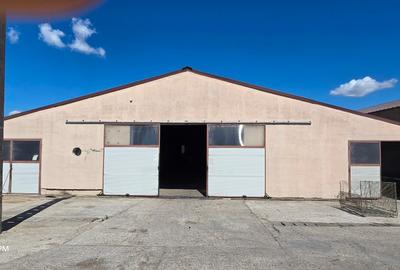 Proprietate imobiliara, Com. Farcasa, jud. Maramures - 6