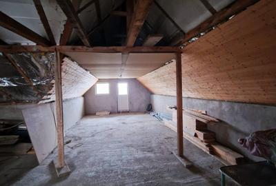 VIND VILA CU SPATIU INDUSTRIAL LOCUIT (pretabil la orice activitate) DASCALU IF - 9