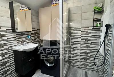 Doua apartamente de vanzare la curte comuna,zona Traian, Timisoara - 21