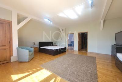 Spatiu comercial de inchiriat 875mp - Piata Cluj - 20
