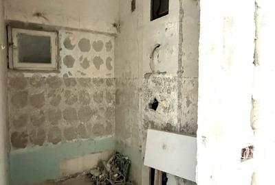 APARTAMENT SPATIOS CU VEDERE PE 2 PARTI - 14