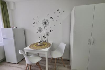 Garsonieră pet-friendly, utilități incluse, Str. București - 4