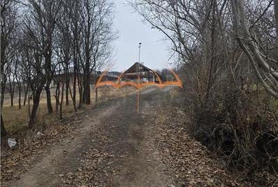 2 Terenuri de vanzare in Popesti Baciu 500mÂ˛+ 2.030mÂ˛/40âŹ mÂ˛. - 4