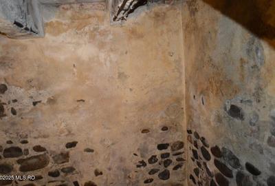 Curtea de Arges - Ultracentral - Casa autentica 180 mp, Teren 1336 mp - 22