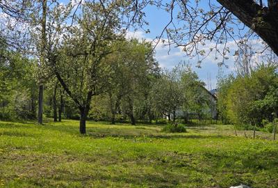 Vand casa veche de renovat cu teren 1775mp in Baciu - 2
