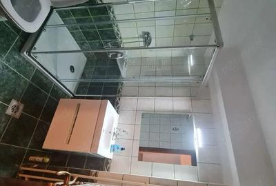 DE INCHIRIAT – 3 camere Cartier Francez | 113 mp | Parcare - 7