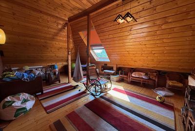 VILA LOCATIE UNICA GRADINA ICOANEI - 12
