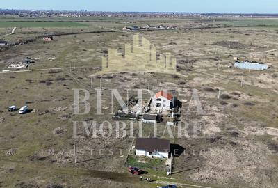 Teren intravilan Mosnita Noua 627mp+ constructie cadru metalic - 3