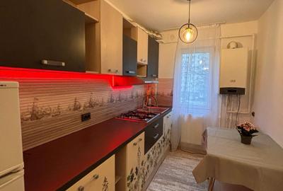 Apartament 2 camere,renovat,zona Aleea Streiului