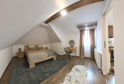 Apartament  la casa, centrul istoric - format din 2 garsoniere - 8