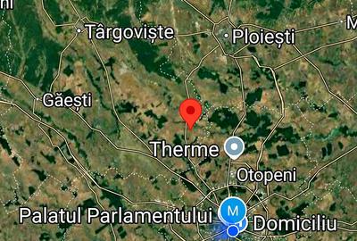 Teren agricol extravilan de 7500 mp, în Ungureni (Butimanu)