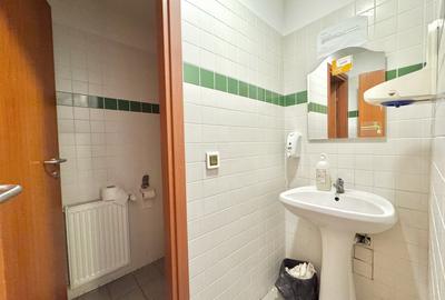 Închiriere Spațiu Comercial Premium central 240mp-Bd. A. Panu, Direct proprietar - 11