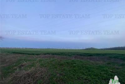 Teren intravilan 15000 mp Costinesti, Constanta - 3