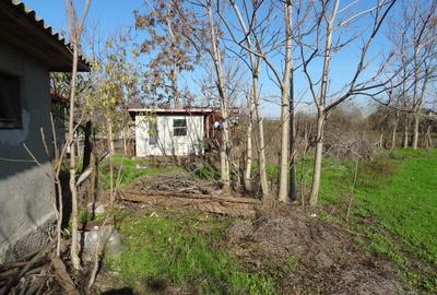 Teren cu casa, 3600mp, 4 camere de vanzare in Nicolae Balcescu - 5