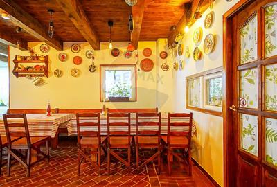 Cabana la Flo, 8 cam,P + M, teren 888 mp oportunitate de investitie ! - 26