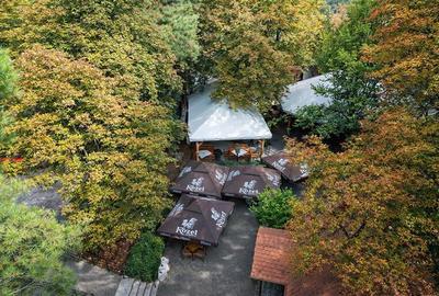 Complex Gastronomic:Afacere la cheie, Restaurant traditional secuiesc+terasa eve - 27