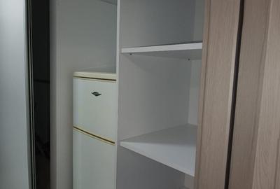 Obor, Colentina, Teiul Doamnei, Kaufland, 7 min de metrou - 5