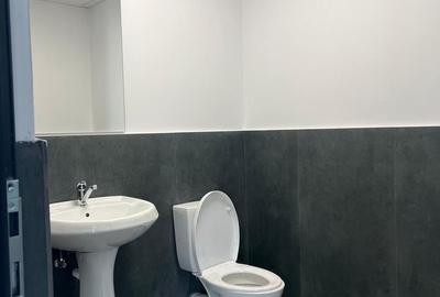 Hala de inchiriat depozitare si productie 1550 mp. Mogosoaia - Buftea - 9