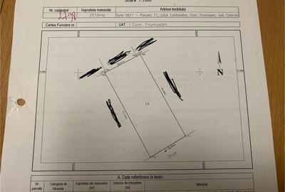 Teren Intrav. Frumusani - 2