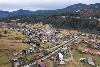 Oază de Liniște la Colibița - 1