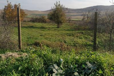 Teren Construcții intravilan de 1978 mp, în Nicolae Bălcescu