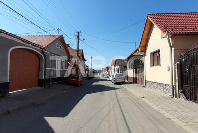 Teren agricol extravilan de 2400 mp, în Orlat