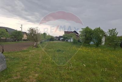 Teren 1,816mp Sighetu Marmatiei / Strada Ion Ghica - 9