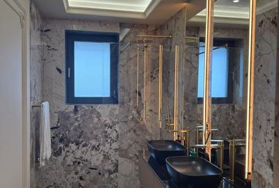 Duplex 4 Camere 253MP Cloud 9 Residence 3 Locuri Parcare - 48