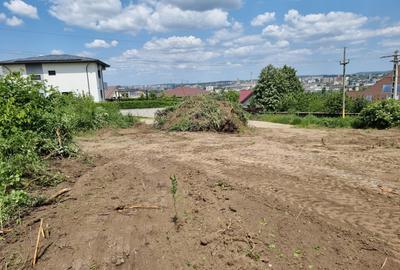 Teren de vanzare IASI , zona Bucium , in spate la Pleiada, 719 mp - 4